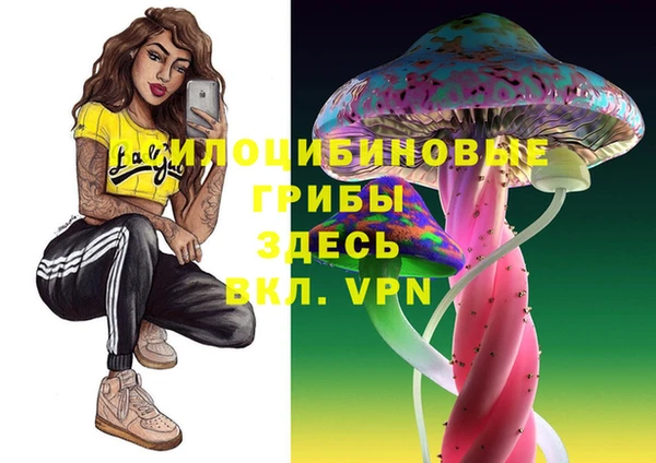 мескалин Ельня