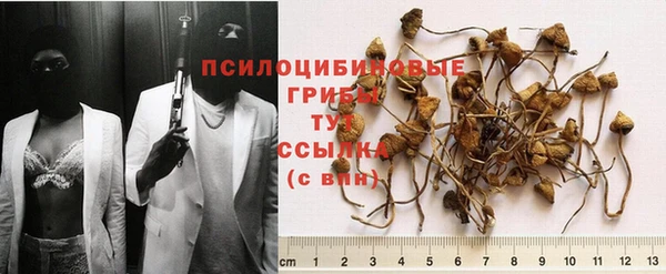 мескалин Ельня